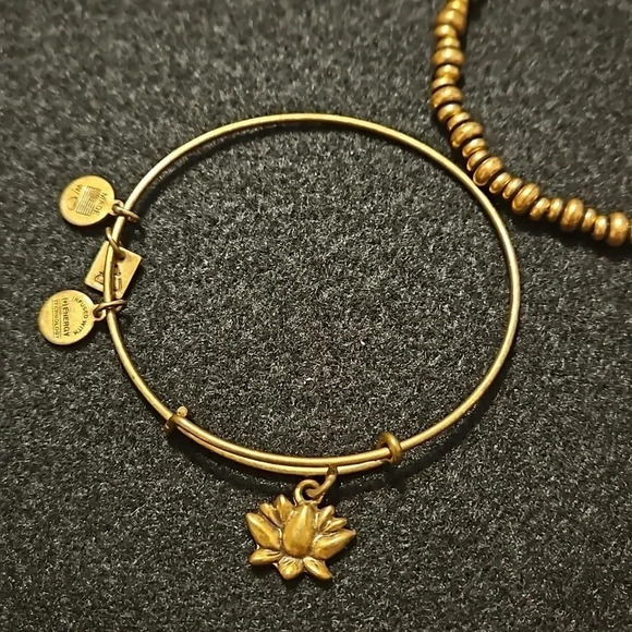 Alex and Ani Lotus Blossom bangle charm‎ bracelet + beaded bracelet - Picture 3 of 7